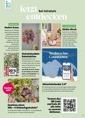 Obstbaum im Blumen Ostmann Prospekt in Oldenburg Aktueller Blumen Ostmann Prospekt mit Obstbaum, "Herbst in voller Blüte", Seite 7