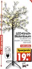 LED-Kirsch-Blütenbaum von  im aktuellen Wreesmann Prospekt für 19,99 €