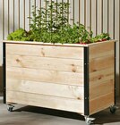 hagebau kompakt - Hochbeet Angebot im Prospekt Hochbeet bei hagebau kompakt im Prospekt "" für 79,99 €