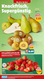 Penny Kiwi im Prospekt 