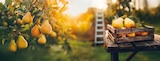 Angebot im Globus-Baumarkt Hintertiefenbach Prospekt Globus-Baumarkt Hintertiefenbach Prospekt mit im Angebot für 47,99 €