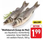 Wolfsbarsch (Loup de Mer) bei EDEKA im Haßloch Prospekt für 1,99 €