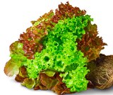 Aktuelles Deutsches Salat-Trio mit Wurzeln Angebot bei Penny in Bremen ab 0,99 €