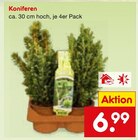 Baum im Netto Marken-Discount Prospekt Koniferen im aktuellen Netto Marken-Discount Prospekt für 6,99 €