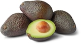 Avocado im Penny Prospekt Avocado von Marktliebe im aktuellen Penny Prospekt für 0,85 €