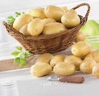 Pomme de terre de consommation nouvelle récolte - U Express à Saint-Priest Pomme de terre de consommation nouvelle récolte en promo chez U Express Saint-Priest à 2,99 €