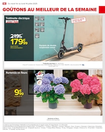 Offre Hortensia dans le catalogue Carrefour du moment à la page 88