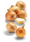 Zwiebeln im Netto Marken-Discount Prospekt Zwiebeln von HEIMAT im aktuellen Netto Marken-Discount Prospekt für 1,49 €