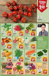 Gartenerde Angebot im aktuellen REWE Prospekt auf Seite 7