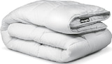 Premium-Kopfkissen Angebote von DUNLOPILLO bei Lidl Wismar für 24,99 €