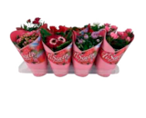 Blühpflanzen Mix bei EDEKA im Flensburg Prospekt für 4,99 €