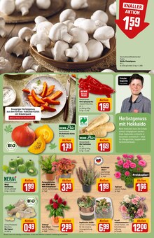 Paprika im aktuellen REWE Prospekt (Frankfurt (Main)) Paprika im REWE Prospekt "Dein Markt" mit 34 Seiten (Frankfurt (Main))