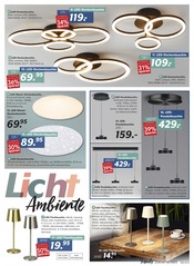 Aktueller BRAUN Möbel-Center Prospekt mit Beleuchtung, "Lifestyle Trends", Seite 11