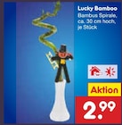Lucky Bamboo Angebote bei Netto Marken-Discount Peine für 2,99 €