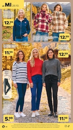 Damenhose Angebot & Preis im aktuellen Netto mit dem Scottie Prospekt Damenhose Angebot im aktuellen Netto mit dem Scottie Prospekt auf Seite 26