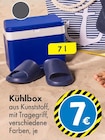 Kühlbox im Angebot bei TEDi in Neunkirchen Kühlbox Angebote bei TEDi Neunkirchen für 7,00 €