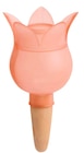 Bewässerungsfigur bei Rusta im Dessau-Roßlau Prospekt für 1,99 €