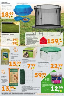 Trampolin im Globus-Baumarkt Prospekt "Immer eine Idee besser" mit 16 Seiten (Dortmund)