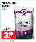 Aktuelles Geranien-Erde Angebot bei Wreesmann in Cottbus ab 3,99 €