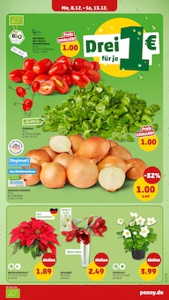 Tomaten im Penny Prospekt "Wer günstig will, muss Penny." mit 42 Seiten (Braunschweig)