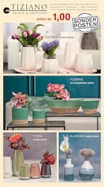 Aktueller KODi Prospekt mit Blumentopf, "DER HAUSHALTSDISCOUNTER", Seite 2