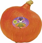 Bioland-Kürbis Hokkaido im Angebot bei EDEKA in Bietigheim-Bissingen Bioland-Kürbis Hokkaido Angebote von Unsere Heimat bei EDEKA Bietigheim-Bissingen für 1,99 €