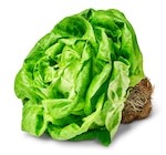 Penny Hemer - Kopfsalat Angebot im Prospekt Kopfsalat bei Penny im Hemer Prospekt für 1,11 €