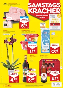 Orchidee im Netto Marken-Discount Prospekt "Aktuelle Angebote" mit 63 Seiten (Dresden)