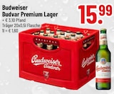 Premium Lager im Trinkgut Prospekt Premium Lager von Budweiser Budvar im aktuellen Trinkgut Prospekt für 15,99 €