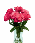 Aktuelle Pflanzen Angebote bei Netto Marken-Discount in Jena Aktuelles Großköpfige Hochland Rosen Angebot bei Netto Marken-Discount in Jena ab 4,44 €