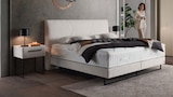 Boxspringbett von Dieter Knoll für 699,00 € bei XXXLutz im Angebot Boxspringbett von Dieter Knoll im aktuellen XXXLutz Prospekt