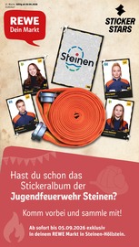 REWE Discounter Prospekt der aktuellen Woche mit 34 Seiten, gültig von 29.06.2026 bis 04.07.2026, in Steinen und Umgebung Aktueller REWE Discounter Prospekt in Steinen und Umgebung, "Dein Markt" mit 34 Seiten, 29.06.2026 - 04.07.2026