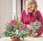 Dehner Garten-Center - GRABGESTECK Angebot im Prospekt GRABGESTECK bei Dehner Garten-Center im Prospekt "" für 39,99 €