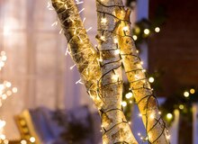 Lichterkette 200 LEDs bei ALDI SÜD in Rüsselsheim Lichterkette 200 LEDs im Angebot bei ALDI SÜD Rüsselsheim für 9,99 €