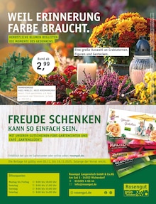 Adventskranz im aktuellen ROSENGUT Langerwisch Prospekt (Potsdam) Adventskranz im ROSENGUT Langerwisch Prospekt "MAGISCHER ADVENT!" mit 12 Seiten (Potsdam)