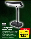 LED-Tageslichtleuchte „Titus“ von Casaya im aktuellen Hagebaumarkt Prospekt für 12,99 €