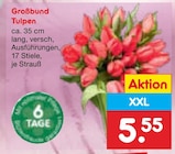 Großbund Tulpen Angebote bei Netto Marken-Discount Altenburg für 5,55 €