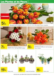 Promo Plantes dans le catalogue Carrefour du moment à la page 30