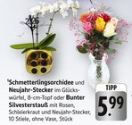 Aktuelles Schmetterlingsorchidee mit Neujahr-Stecker Angebot bei EDEKA in Frankfurt (Main) ab 5,99 €
