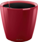 20% DE REMISE sur toute la gamme de pots à réserve d'eau Classico Color et Classico Premium LECHUZA - LECHUZA - Truffaut 20% DE REMISE sur toute la gamme de pots à réserve d'eau Classico Color et Classico Premium LECHUZA - LECHUZA dans le catalogue Truffaut