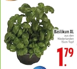 Basilikum XL von  im aktuellen EDEKA Prospekt für 1,79 €