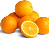 Penny Möckmühl - Orangen Angebot im Prospekt Orangen bei Penny im Möckmühl Prospekt für 2,22 €