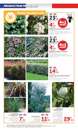 Plante Verte Angebote im Prospekt "Super U" von Super U Plante Verte Angebote im Prospekt "Super U" von Super U auf Seite 2