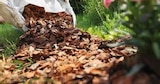 Rindenmulch bei Globus-Baumarkt im Langen Prospekt für 4,44 €