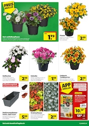 Aktueller Hagebaumarkt Prospekt mit Gartenerde, "SCHNAPP DIR DEIN SUPERBUNDLE", Seite 2