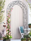Rosenbogen 'Cornwall' Angebote bei Dehner Garten-Center Regensburg für 139,99 €
