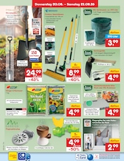 Fliegengitter im Netto Marken-Discount Prospekt in Bautzen Aktueller Netto Marken-Discount Prospekt mit Fliegengitter, "Aktuelle Angebote", Seite 40