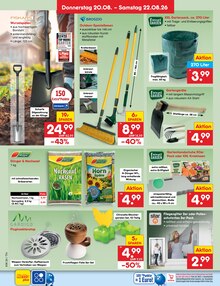 Schuhe im Netto Marken-Discount Prospekt "Aktuelle Angebote" mit 71 Seiten (Dresden)