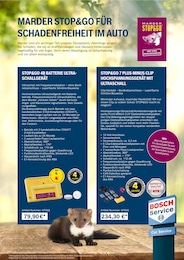 Bosch Car Service Batterie im Prospekt 