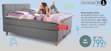 Boxspringbett KIZZA Angebote bei Trends Düsseldorf für 799,00 €